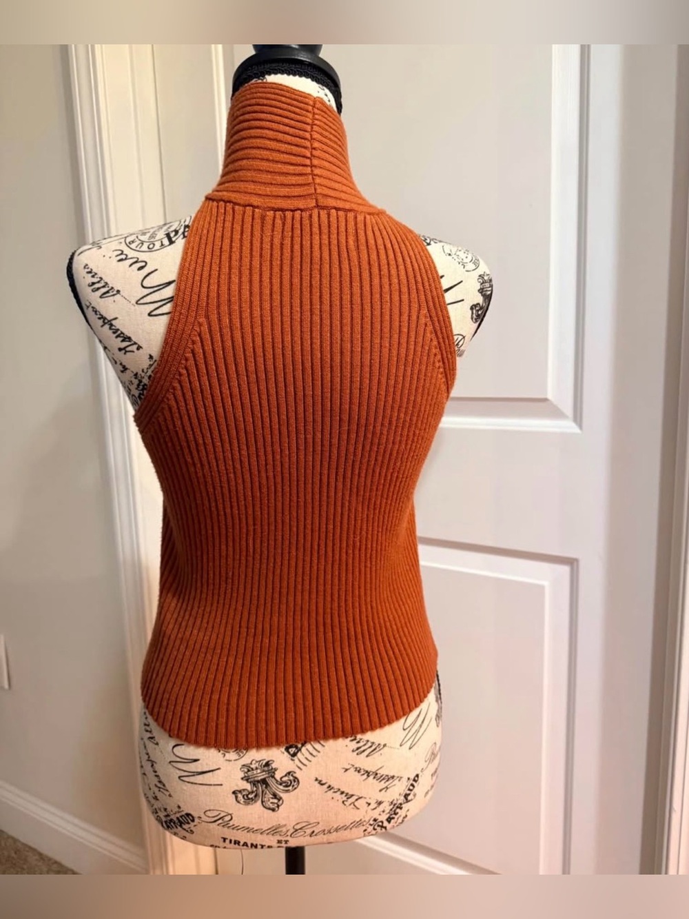 Listicle Ribbed Tank in Rust Orange - Picture 3 of 4